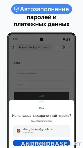 Google Chrome скриншот 6